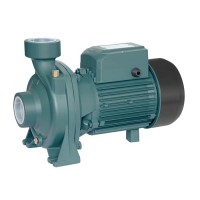 Насос поверхностный центробежный GRANDFAR 2CPm25/160B (GF1035)
