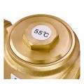 Клапан антиконденсаційний Roho R1255-125 - 1 1/4" ЗР (55*C) (RO1024)