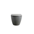 Унітаз підвісний MIXXUS PREMIUM ELLIPSE-0309-T1 GRAY 530x360x350mm система змиву TORNADO 1.0 (MP6655) Унітаз підвісний MIXXUS PREMIUM ELLIPSE-0309-T1 GRAY 530x360x350mm система змиву TORNADO 1.0 (MP6655)