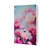 Газова колонка MIXXUS GWH-0410 BASIC GLASS димохідна 10 л/хв (панель зі скла з малюнком) (WH0025)