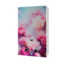 Газова колонка MIXXUS GWH-0410 BASIC GLASS димохідна 10 л/хв (панель зі скла з малюнком) (WH0025)