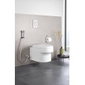 Гигиенический душевой набор Grohe Tempesta-F Trigger Spray (27513001) Гигиенический душевой набор Grohe Tempesta-F Trigger Spray (27513001)