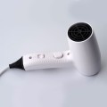 Фен для сушки волос настенный Rixo Maggio F30W
